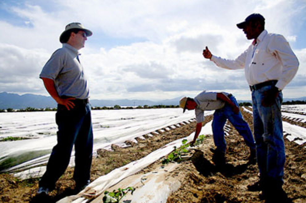 A. A. Organic Farms - Brock Farms