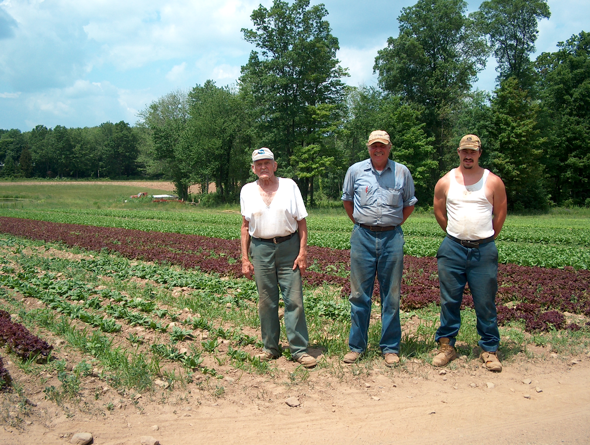 Cecarelli Farm