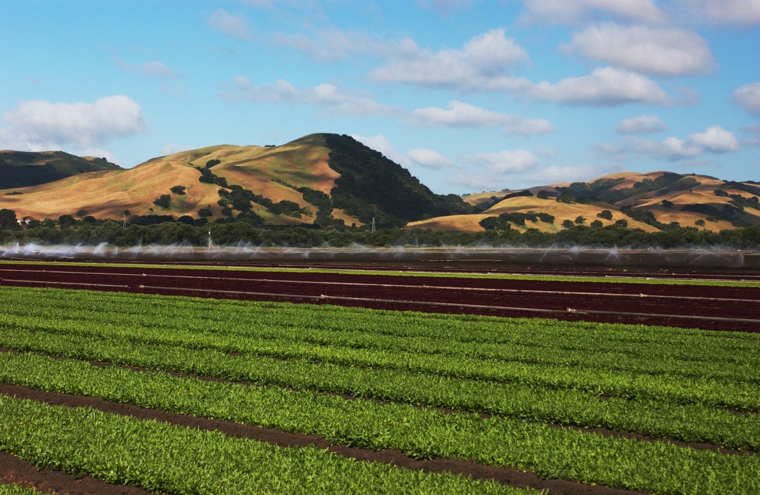 Earthbound Farms FreshPoint Local