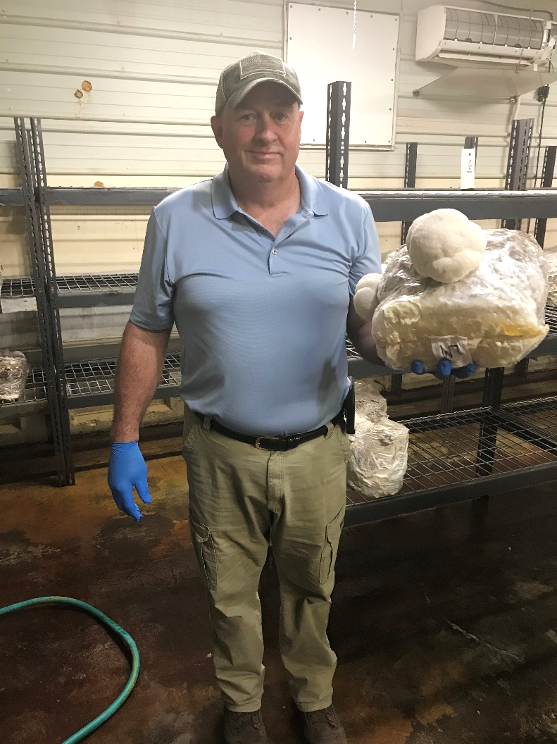 Carolina Mushroom Farm