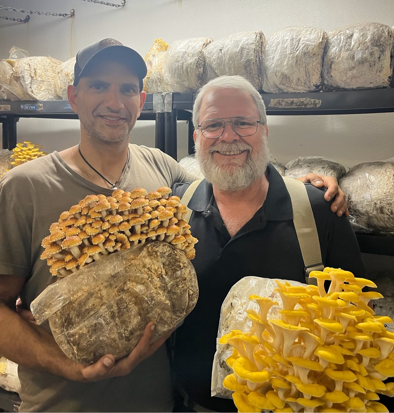 GGF Specialty Mushrooms