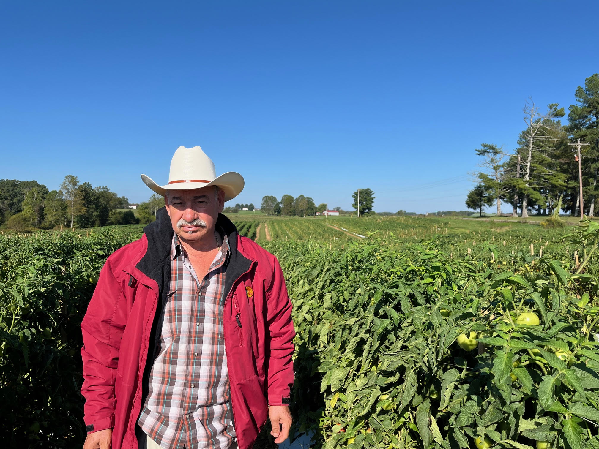 Linares Produce Linares Produce