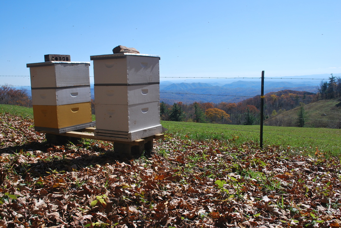 Blue Ridge Apiaries