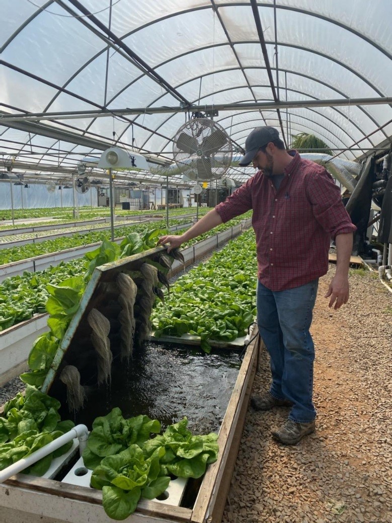 Spring Lake Family Farm