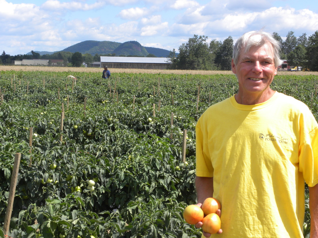 Harvest Farm of Whately