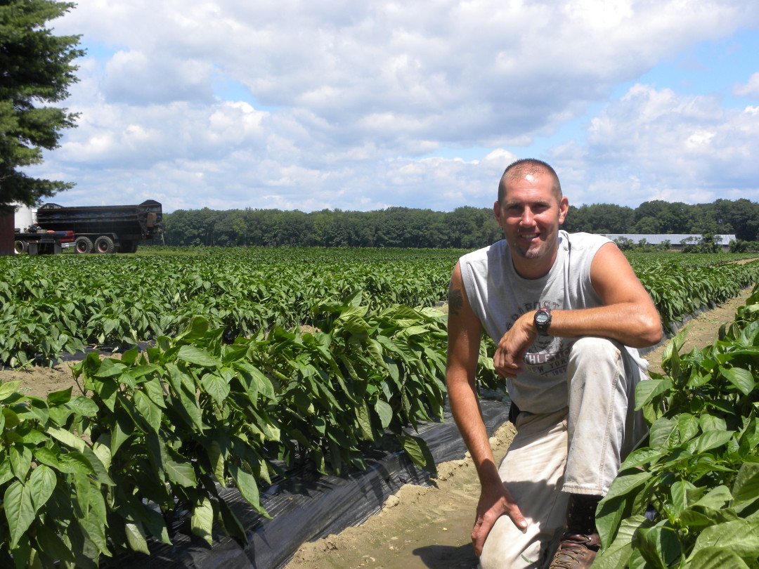 Long Plain Farm