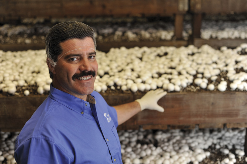 Monterey Mushrooms